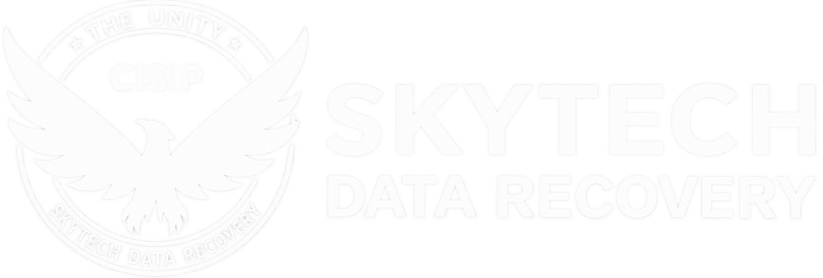 SkyTech Data Recovery